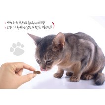건강관리 반려묘 비타민 고양이 면역 영양제 애묘건강