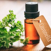 시트로넬라-천연에센셜오일, 30ml(원산지:영국