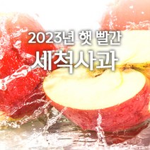 저탄소인증 껍질째먹는 경북 세척사과 당도선별 부사 개별포장 소과 중과 2kg 3kg 5kg, 3kg중과 12~15과, 1개