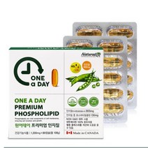 네추럴라이즈 원어데이 프리미엄 인지질 NON-GMO 대두레시틴, 1. 90정, 1+1(BEST 인기)
