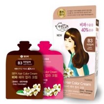 NEW 자연으로 비파 헤어컬러크림_B3 자연갈색