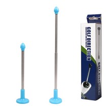 골프 스윙 연습 방향 지시대 골프채 클럽 용품