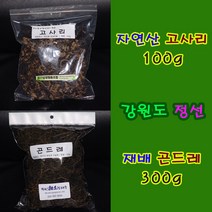 고사리/곤드레/자연산 고사리 100g/재배 곤드레 300g/강원도 정선, 고사리 100g, 100g