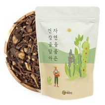 자연닮음 자연산 곡기생 참나무 볶은 겨우살이차 150g