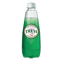 칠성 스파클링 탄산 제로 트레비 5종 복숭아 피치 에이드 무설탕 음료 300ml 20개, 5세트