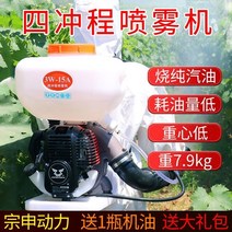 치파랠리 동력살분무기 전기동력 연무기 3wf-3s Power 15 리터 연료 절약형 백 4 행정 가솔린 엔진 분무기 안개 분무기 농업 분무기, 3w-15c Zongshen s35 4행정