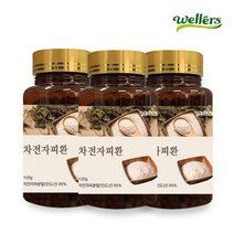 [웰러스] 차전자피환 3병 360g (3개월분) / 인도산 차전자피 분말 95% 식이섬유 84%, 120g, 3개
