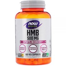 NOW Sports HMB 500 mg 120 식물성