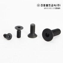 특강 접시머리 볼트 사라볼트 (6mm ~ 60mm) M3 M4 M5 M6 M8 M10, 30mm, 10개