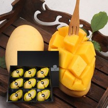 항공 직수입 맛있는 태국 남덕마이 골드망고, 태국망고 선물세트 10과