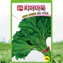 치마아욱 씨앗 아욱 씨 종자 20g, 단품