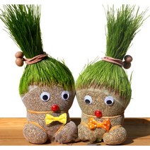 NVIEB 잔디인형 토피어리만들기 만들기 키우기 수경재배 개운죽 토피어리, BABY B