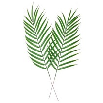 [조화풀] 데코조화 - 아레카야자수잎 ( 47cm )