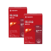 대웅제약 에너씨슬 밀크씨슬과 홍국 콜레다운 2개월분/유통기한 23.08.08