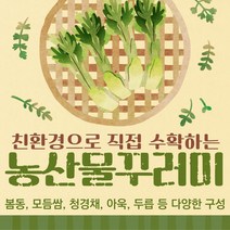 농산물꾸러미 친환경 쌈채소 봄동 아욱 2.5kg 구성, 1개