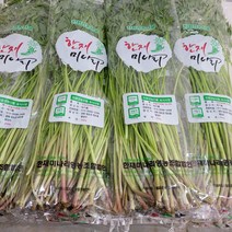 청도 한재 미나리 1kg /500g 친환경 무농약