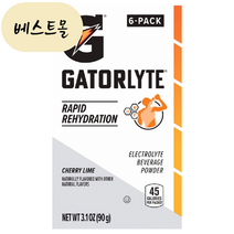 [해외] 게토레이 분말 파우더 체리 라임맛 15g 6개입 베스트몰 미국직구