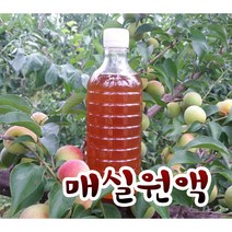 맛과 향이 월등한 매실청 1리터 매실원액/매실음료/매실차/직접재배 가공/농장직영/싱싱하고 품질 좋은 매실/청매실 황매실/목사골참농원