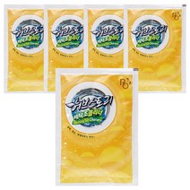 허브스토리 세탁조 클리너, 40g, 5개