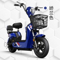 전기자전거 장거리 2륜 배터리 자전거, 24 20A 납산 National Lianbao Tia, 48V