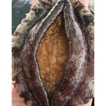 완도 왕특 전복(7~8미-70 000원) 5성호텔