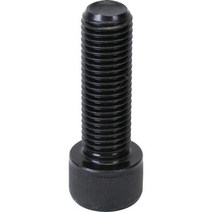 신진화스너 렌치볼트(고장력) M20*65 (1EA)