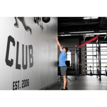 [미국]ROGUE ABMAT MEDICINE BALL 메디신 볼 10LB 14LB 20LB