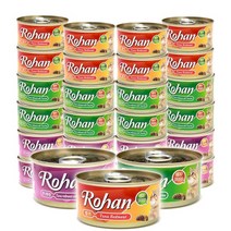 테비 로한캔 80g X 24개 고양이캔, 2.로한캔(참치+헤어볼) 80g X 24개
