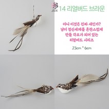 제이식스 고양이 낚시대 리필 깃털 회전 장난감 20여종, 14 리얼버드 브라운