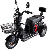 스쿠존 삼륜 전기 스쿠터 SS3 노인 전동 삼발이오토바이, 리튬이온배터리 20AH