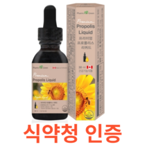 팜그린 프리미엄 프로폴리스 리퀴드 식약처 식약청 인정 인증 해썹 haccp 액상 타입 항산화 구강 항균작용 플라보노이드 17mg 캐나가 직수입 하루 2번 5방울 락토바실러스퍼멘텀#, 30mlX1개