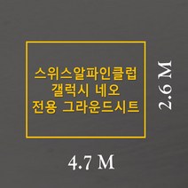 방수포 스위스알파인클럽 갤럭시 네오 전용 주문 제작 타포린 풋프린트 천막 그라운드시트 캠핑, PVC 누텔라초코방수포+가방