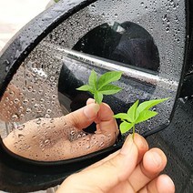 비크루즈 사이드미러 방수필름 원형 타원형 직사각형