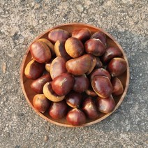 공주 햇밤 정안 알밤 칼집밤 옥광밤 대보밤 생률 생율 조생 에어프라이어, [칼집x] 알밤 2kg 특