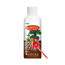 대유 뿌리나라 300ml 뿌리발근제 활착증진 식물영양제, 단품