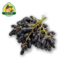 블랙사파이어 가지포도 3kg, 단품