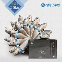 [영광군수협] 국내산 영광굴비 엮걸이 알찬구성, 20마리, 2.1kg이상