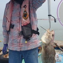 낚시 해루질 갈고리 문어 낙지 해녀 120cm, 1개