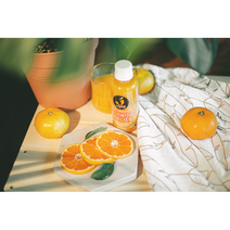 감귤 천혜향 주스 제주 프리미엄주스 리얼100% NFC 착즙 주스 220ml 10병