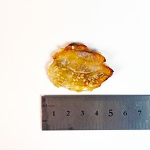 꼬마쥐포 300g 동전쥐포 구운 간식 간편 안주 미니