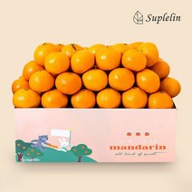 [수플린] 제주 프리미엄 한라봉 2kg 8-10과, 없음