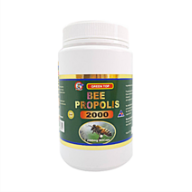 뉴질랜드 그린탑 비 프로폴리스 2000mg 365캡슐, 1box