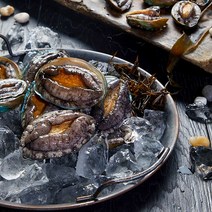 누리 완도 활전복 소 1kg 22-25미, 단품