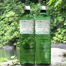브랜드없음 강원도고로쇠 물/수액 1.5L x 6개, 강원도고로쇠 1.5L x 6개