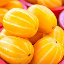 달달한 과즙 꿀가득 참외 5kg 아삭아삭 달콤함