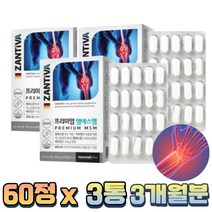 독일 직수입 프리미엄 관절 건강 엠에스엠 MSN 3통 스테아린산 마그네슘 뼈 형성 유지
