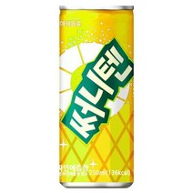 해태 써니텐 파인애플 250ml x 30개