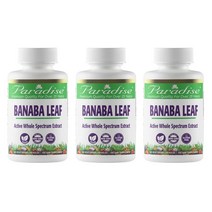 파라다이스 허브 바나바 잎 Paradise Herbs Banaba Leaf 180정, 3병