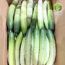 오이 백오이 백다다기오이 상 5kg, 1개