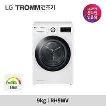 LG전자 트롬 건조기 RH9WV 9kg, DRYKITST4 (실버) 14만3천원 현장결제